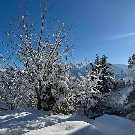 Vista Alpina Lejlighed Crans-Montana