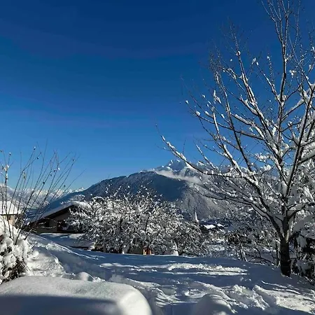 Vista Alpina Appartement *