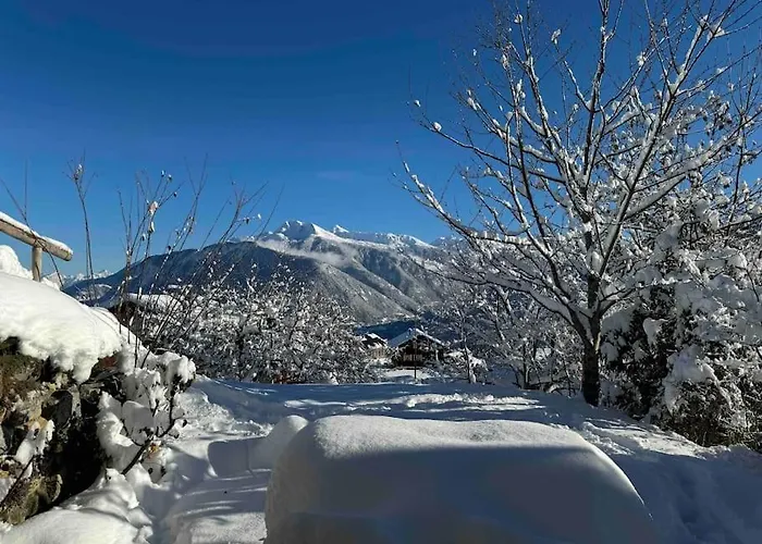 Vista Alpina